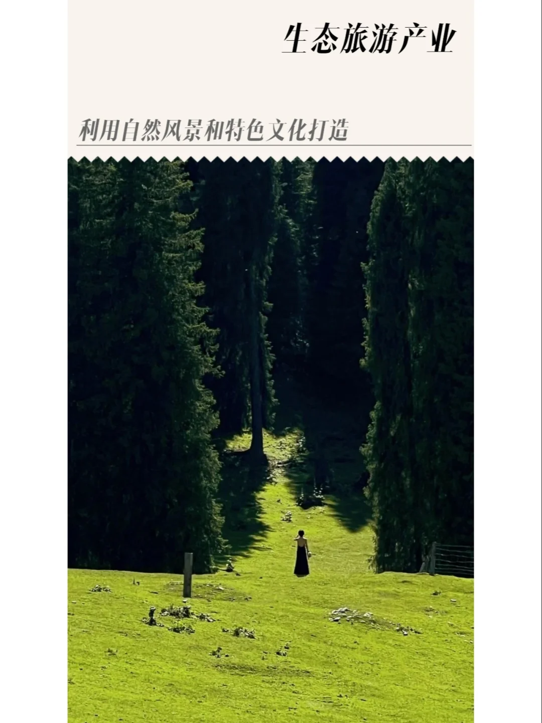 想要回村创业不知道做什么?!看看这几点