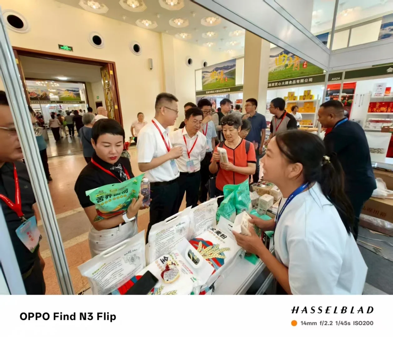 锚定振兴坐标 深耕粮业沃土