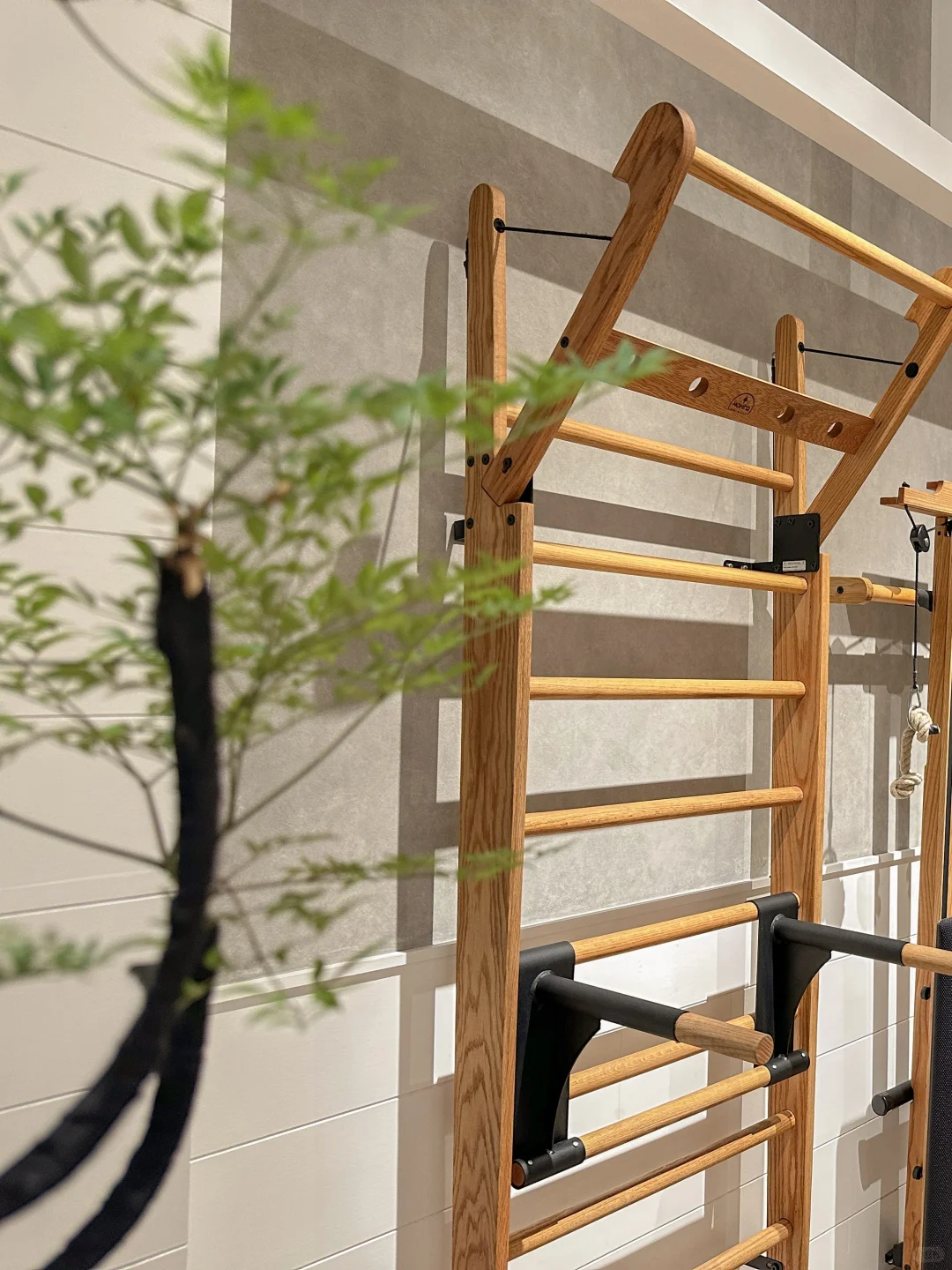 WallBars一面墙，开启全身训练可能