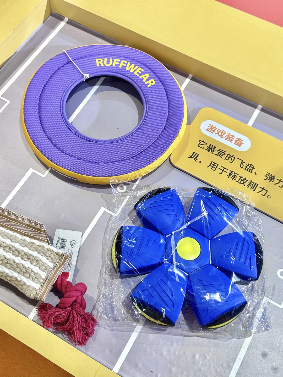 进博会惊现萌爪航站楼！速冲！