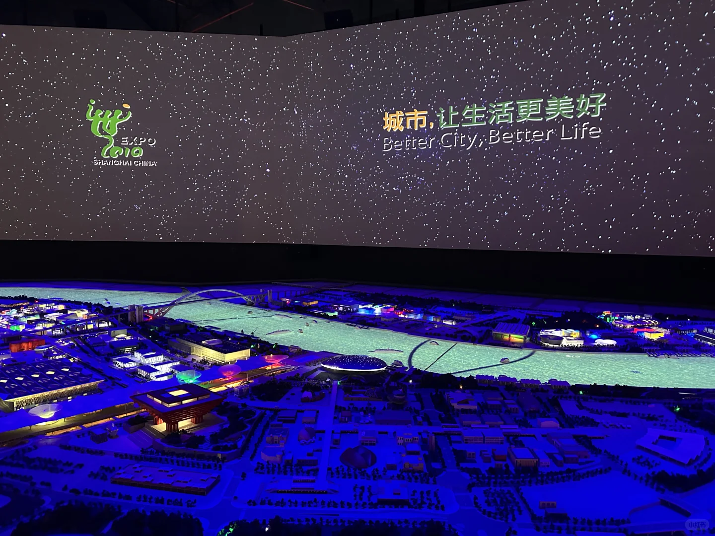 上海世博会是我们青春的回忆吧