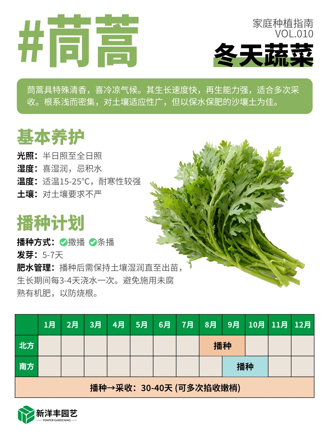 冬天种什么蔬菜？都给你整理好了
