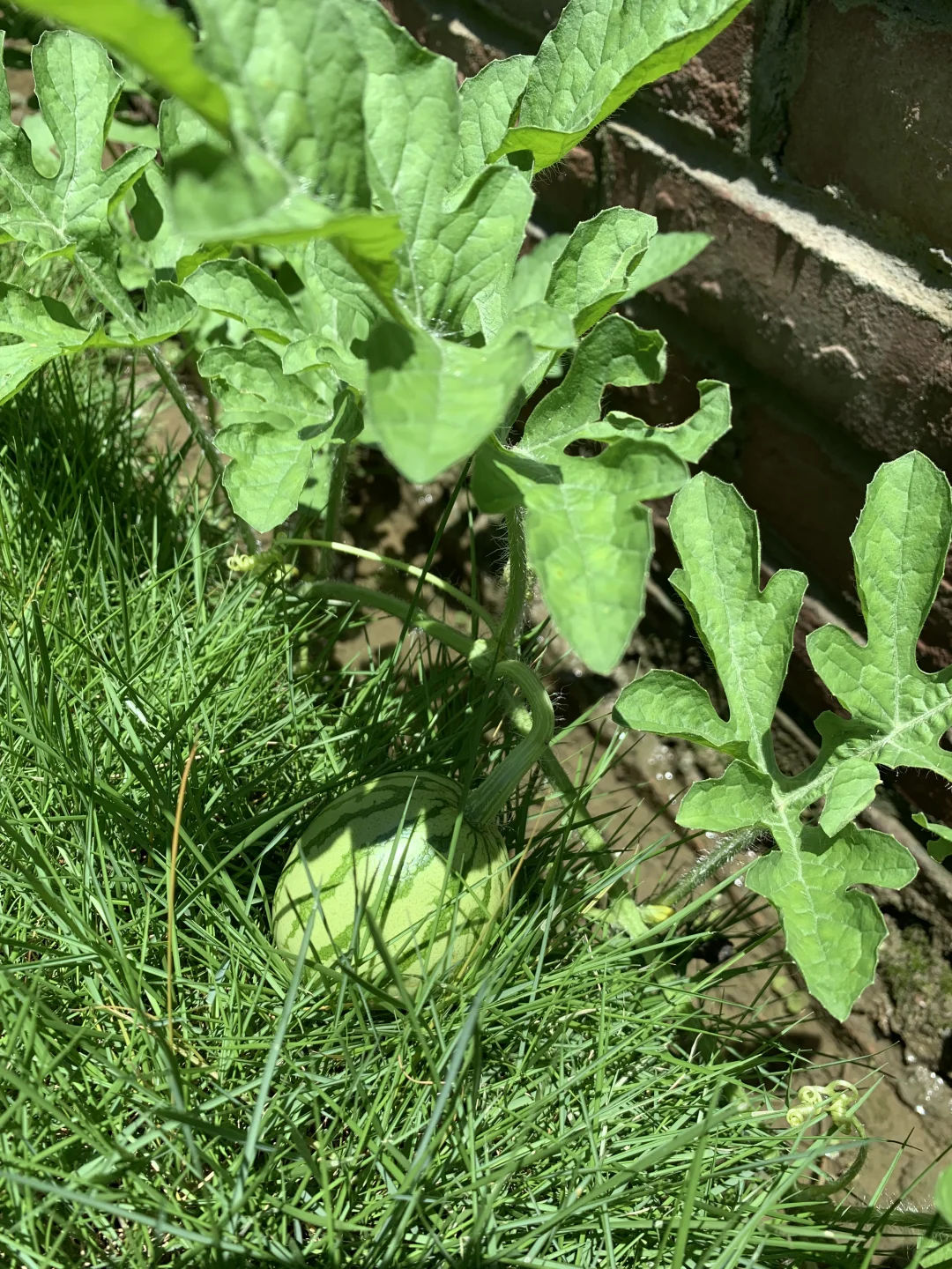 不懂流量,别在农村开民宿,否则只有血亏