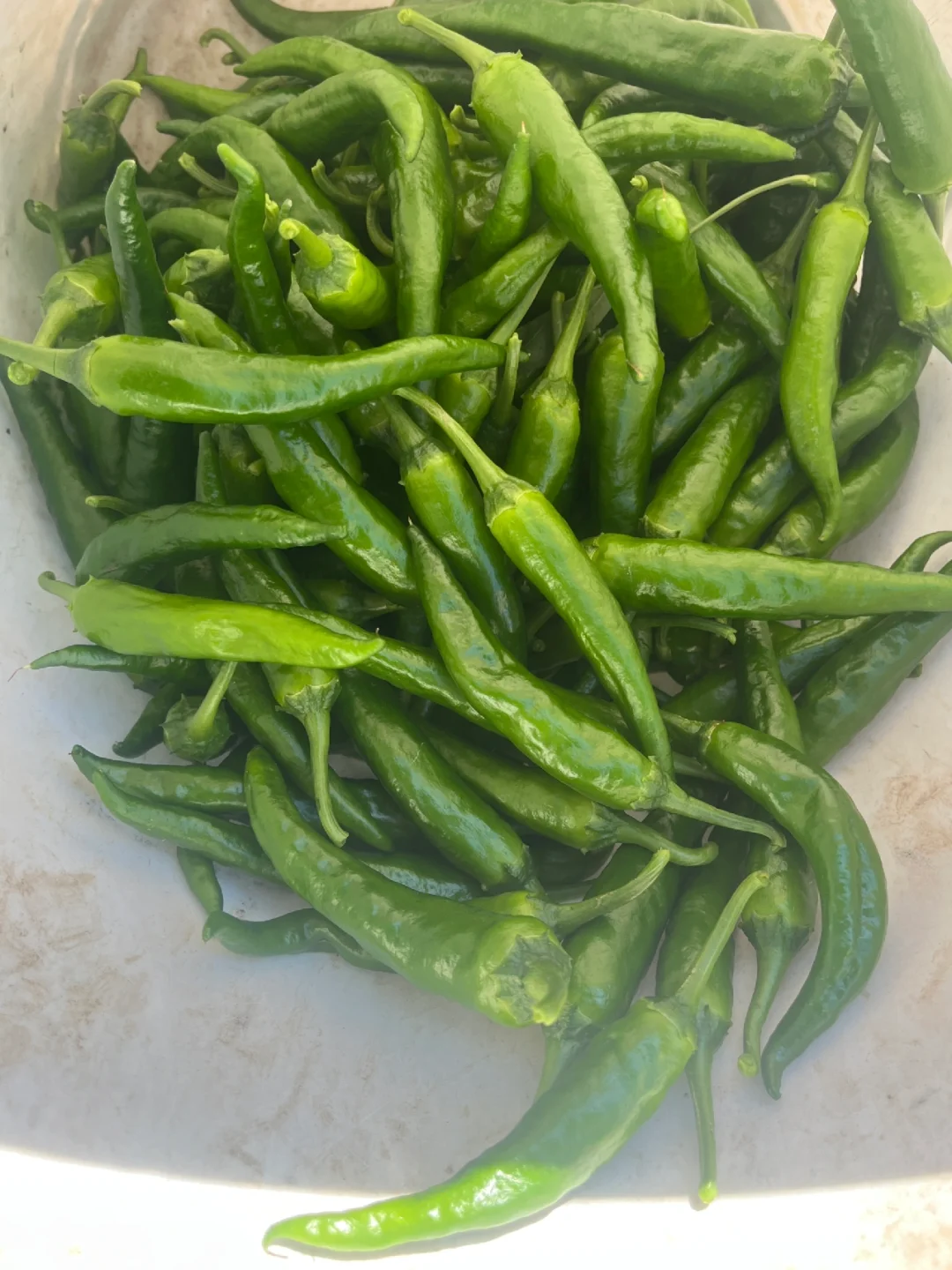 每天都有干不完的农活和吃不完的水果和蔬菜