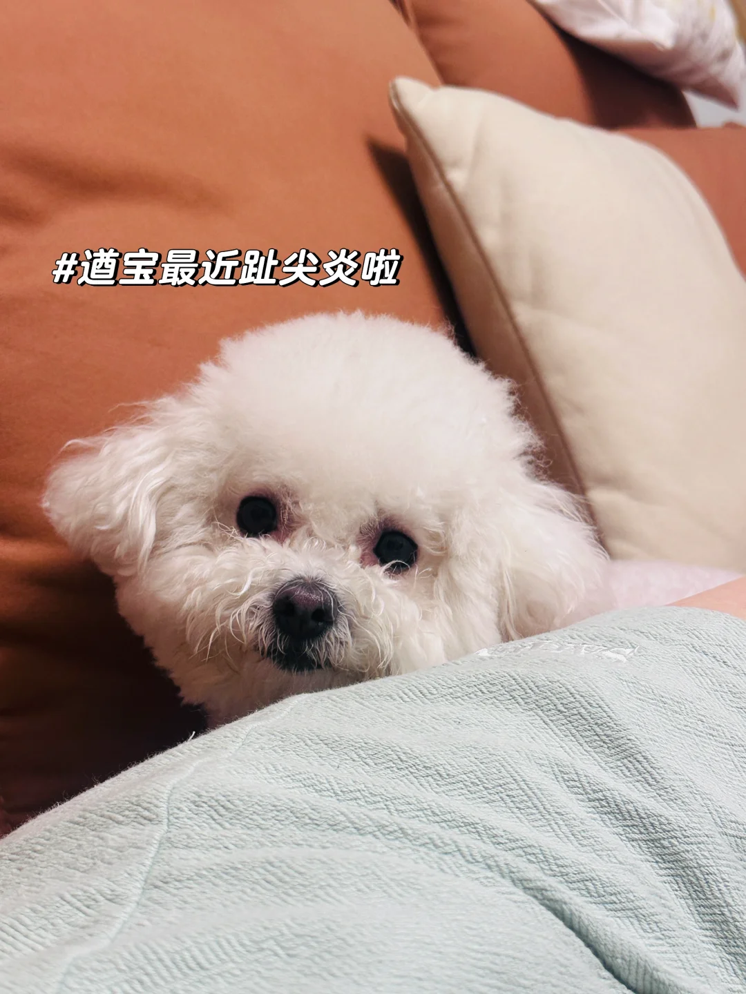 二级学院高校教务打工的这半年❗️附工作量