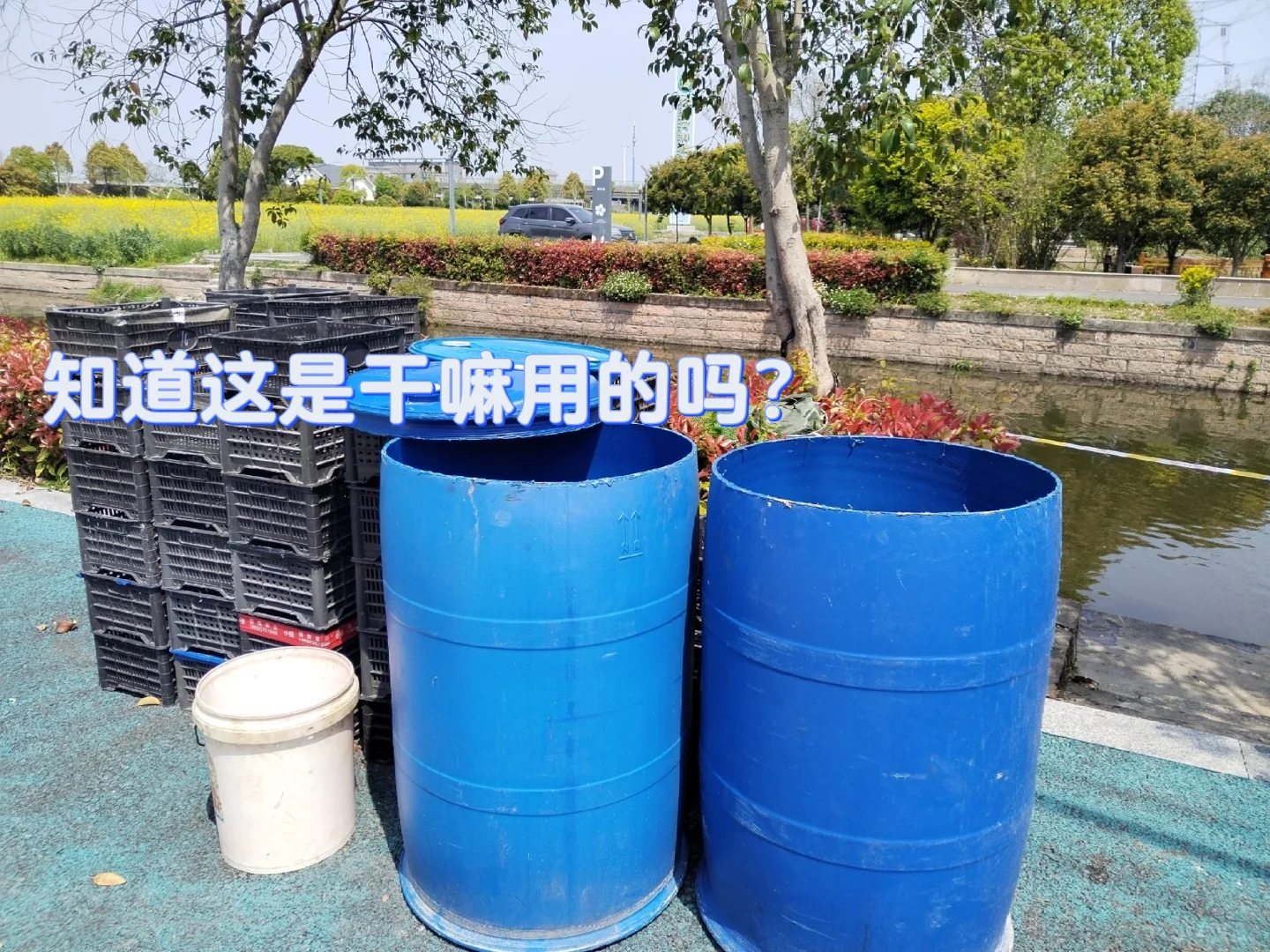 中年少女跨行农业种植基地工作第二十天