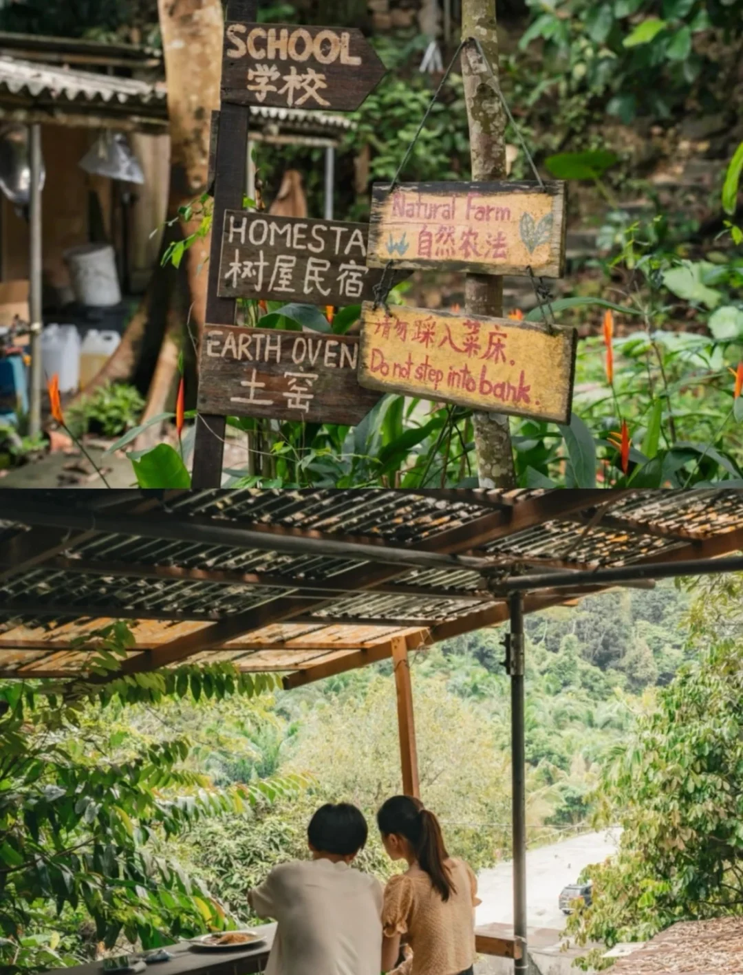 ? 乡村旅游新篇章：因地制宜，共赴美好