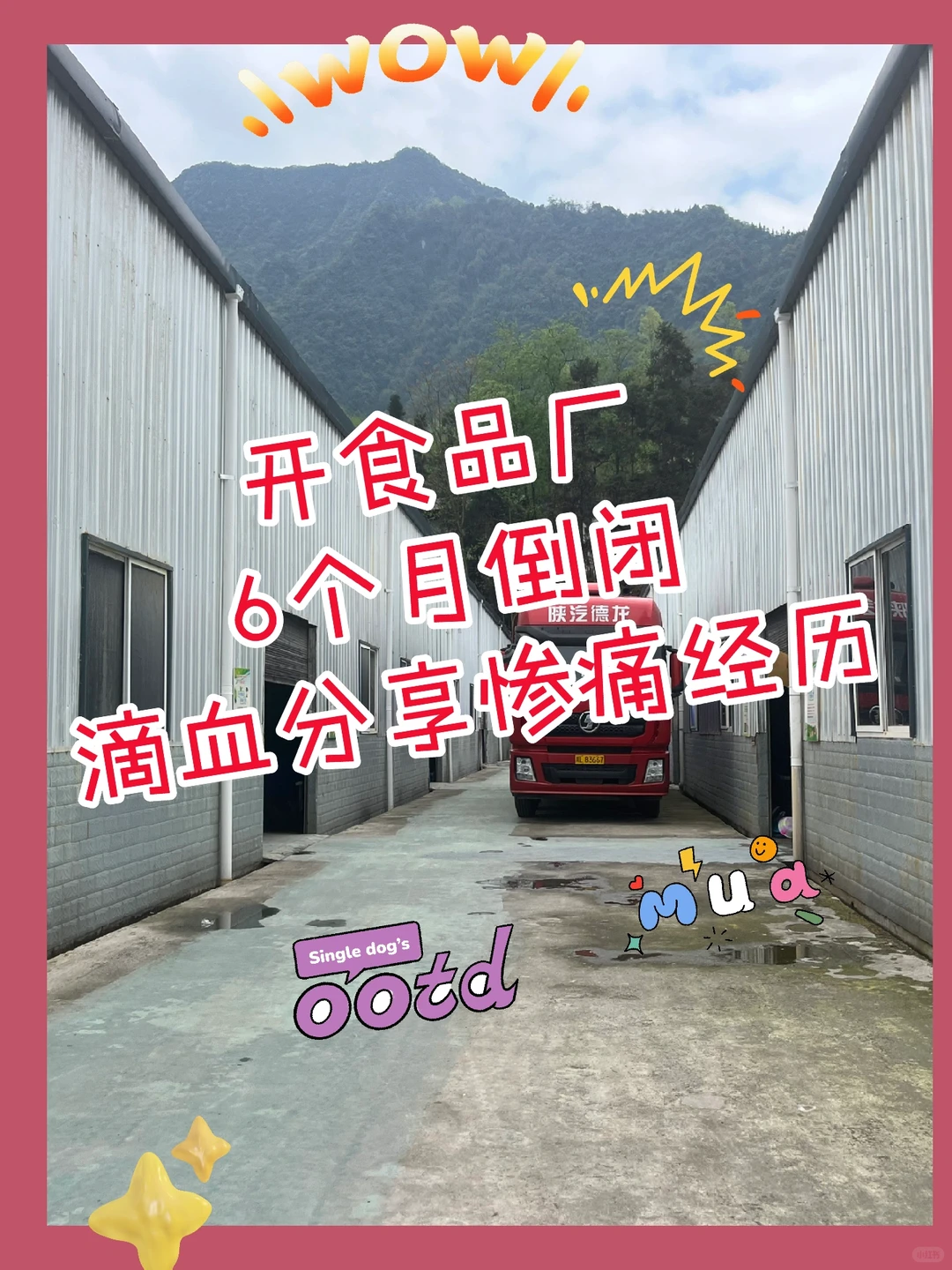 ?开食品厂6个月倒闭??，滴血分享惨痛经历