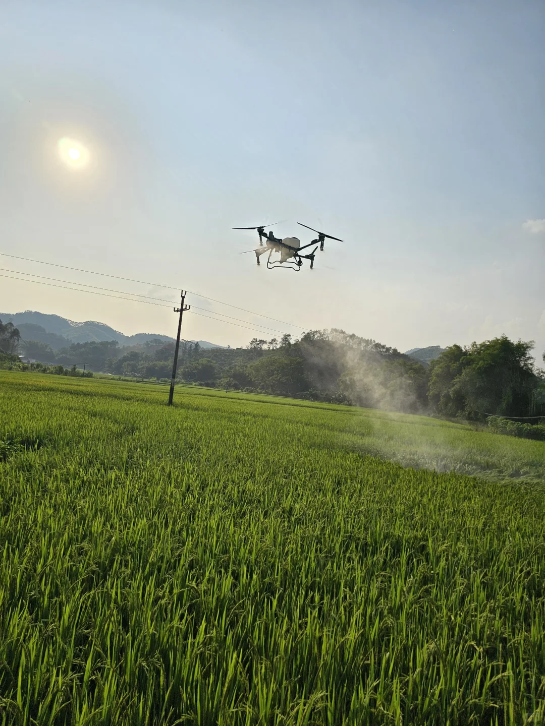 这个飞机真帅！