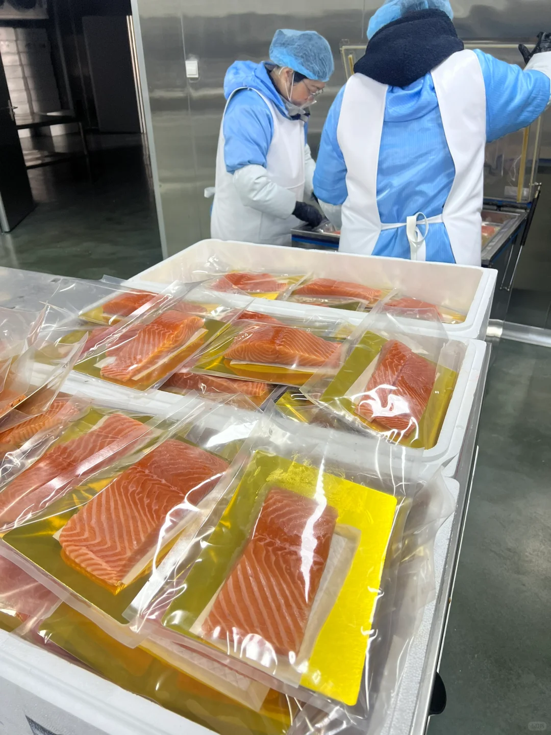 三文鱼工厂寻求合作