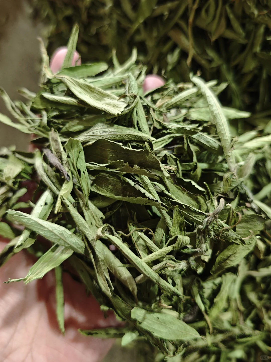 农产品初加工的心酸