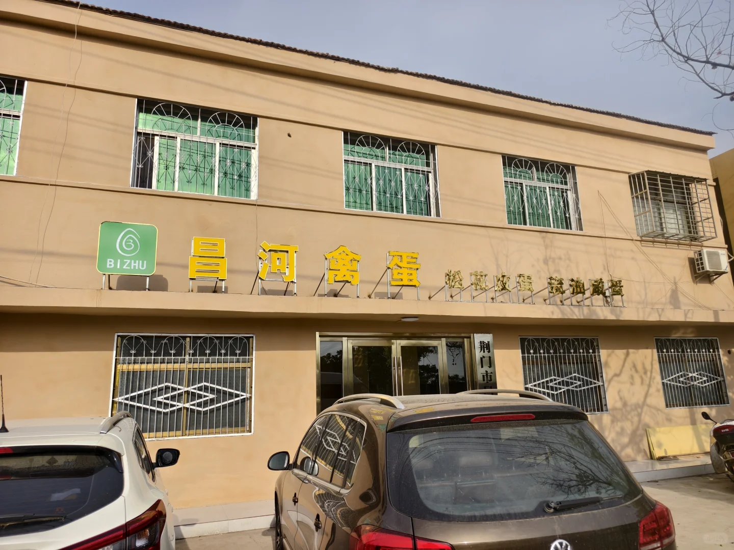 探访团林大型禽蛋工厂——碧珠牌禽蛋