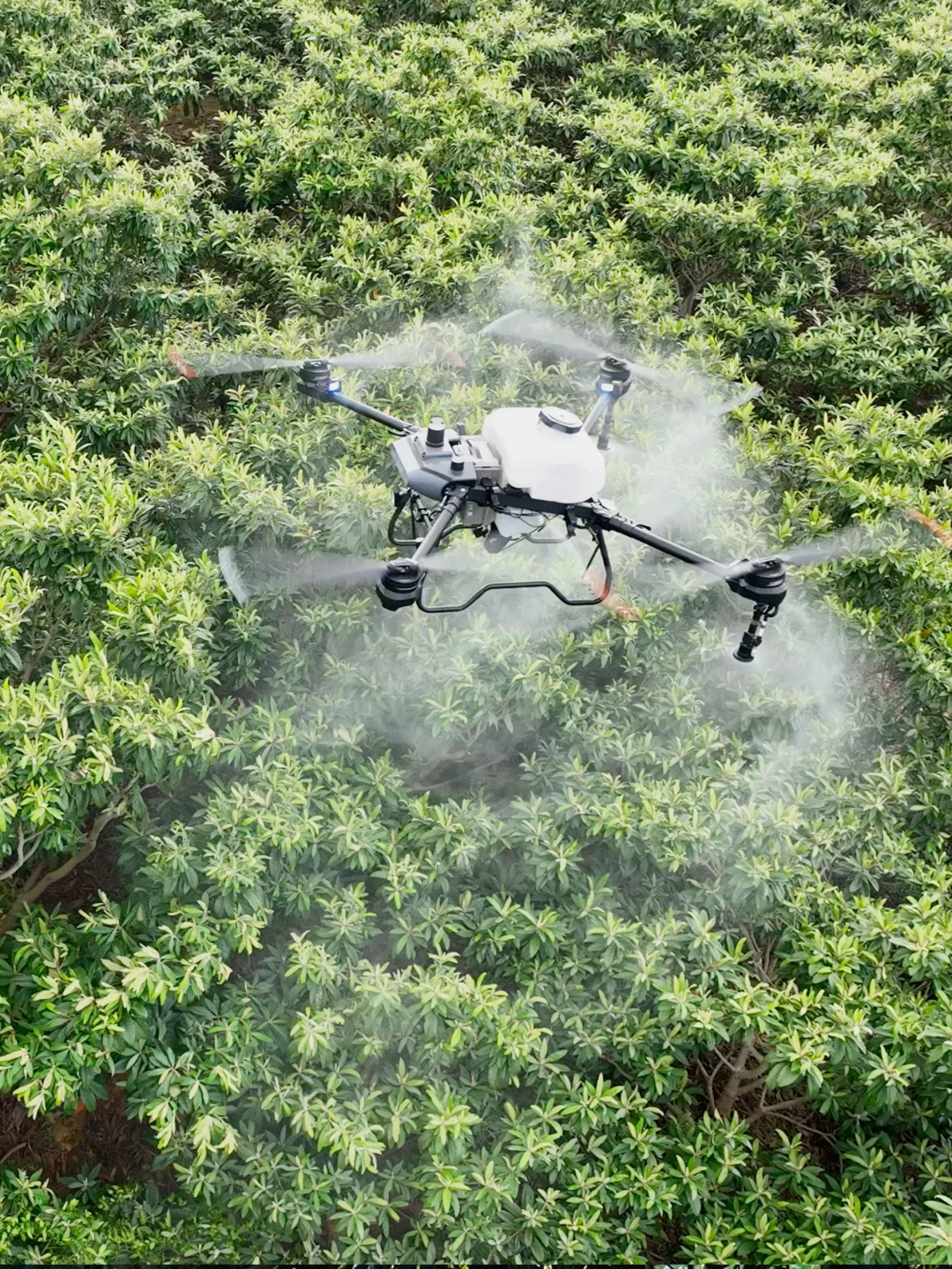 劝你别看!怕你发现无人机轻松赚钱辞职回村