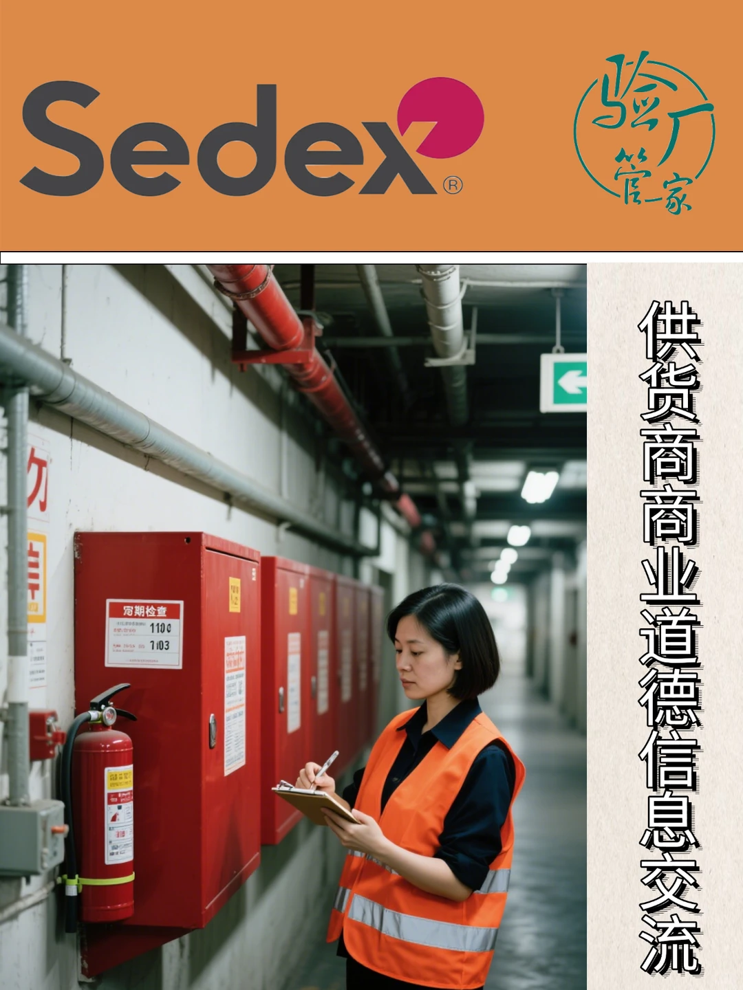 Sedex认证超全攻略!外贸企业注意!