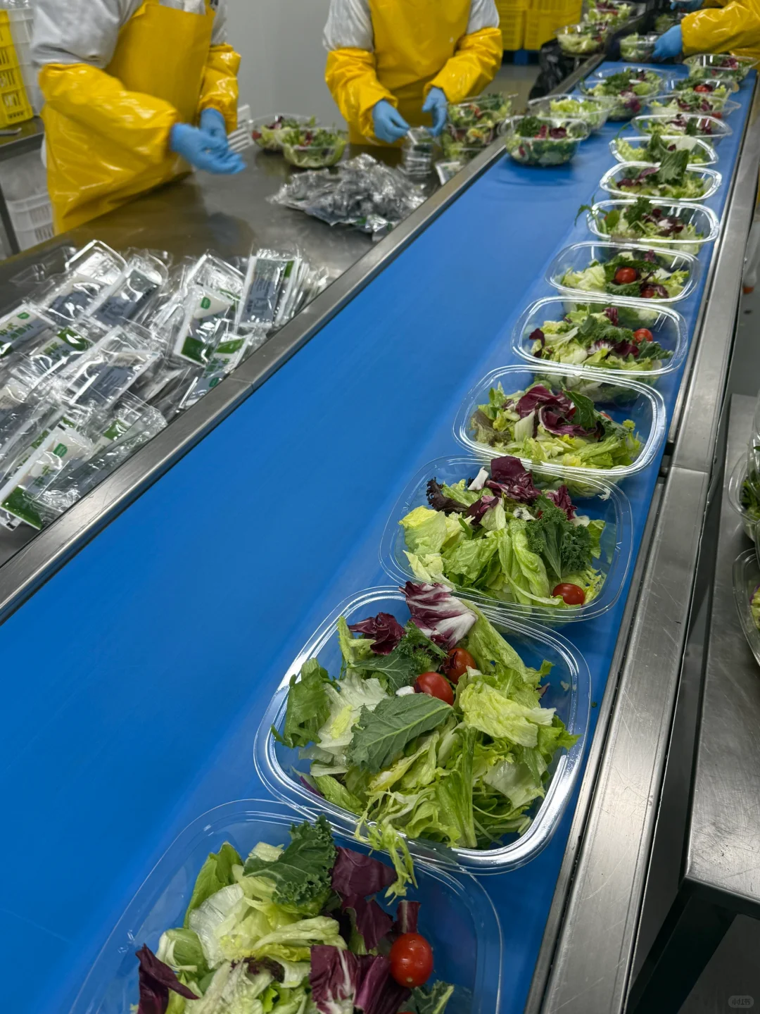 说真的！这是我见过浪费最严重的工厂…