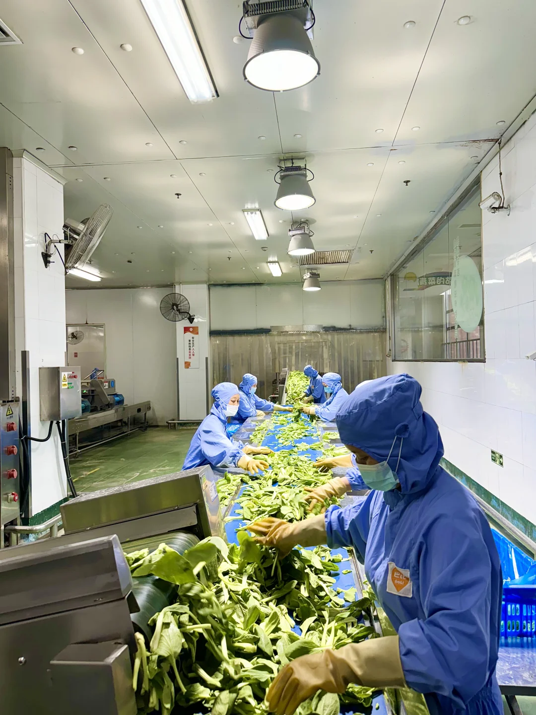 滴！恭喜我拿到巴比工厂一日厂妹体验卡！