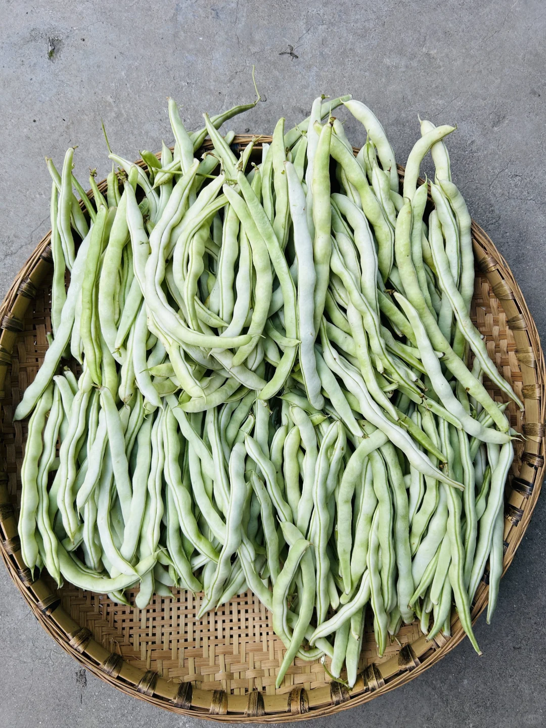 不好意思！最近只有这些菜❗️