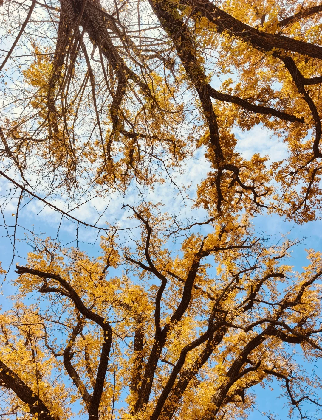 11.8[周六]【京门铁路-广化寺-琉璃渠】户外