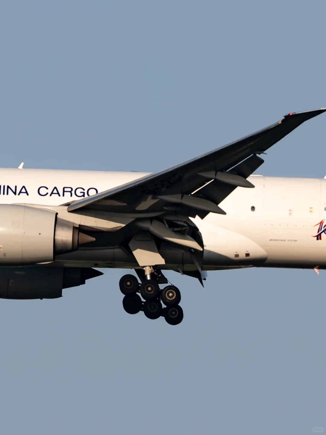 2014-2024|南美生鲜快运十周年