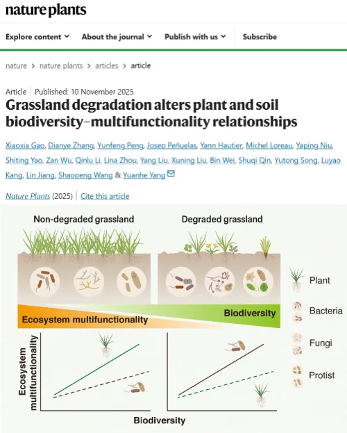 草地退化&生物多样性与生态系统多功能性