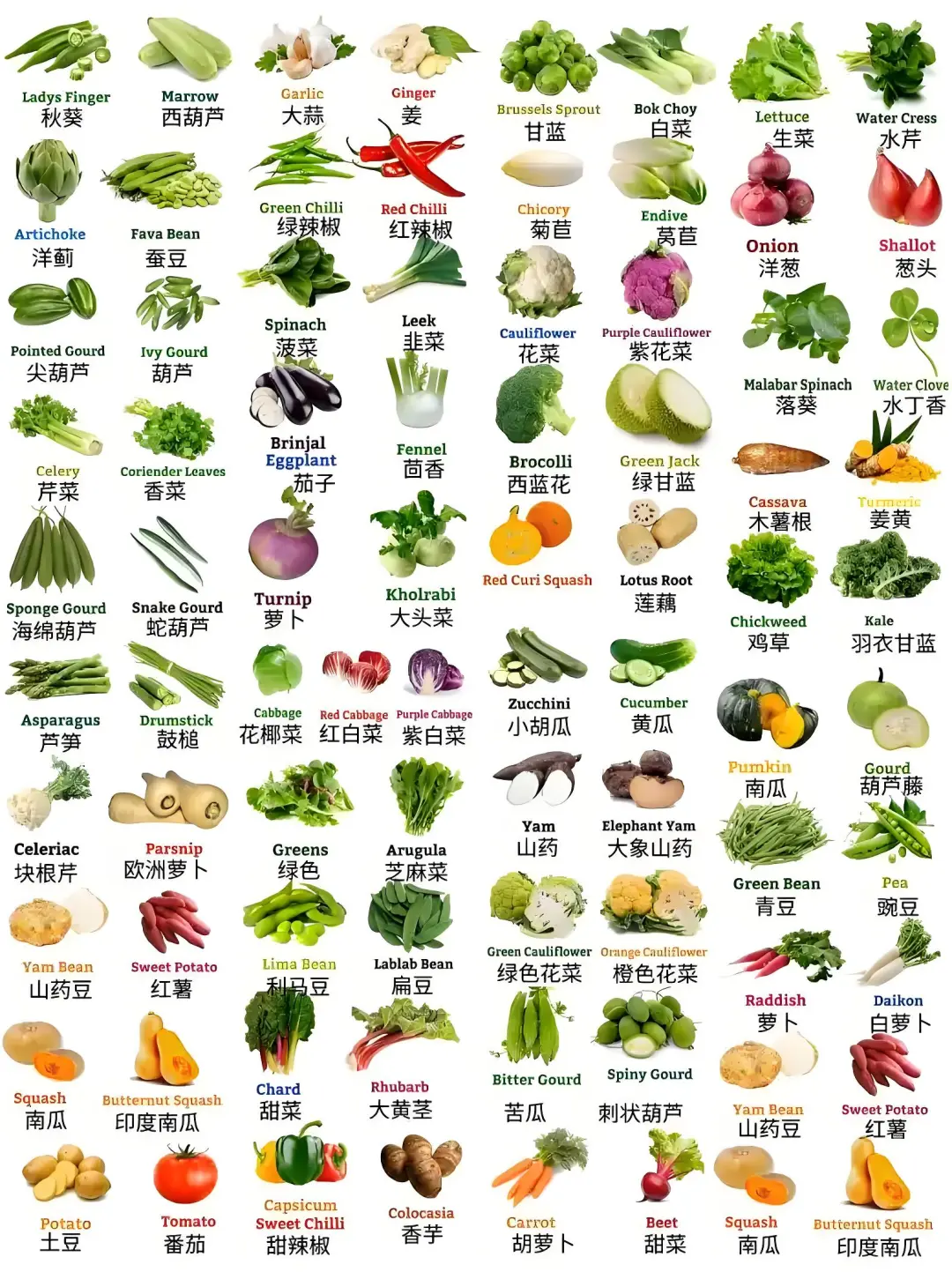 ???英语蔬菜词汇大集合??