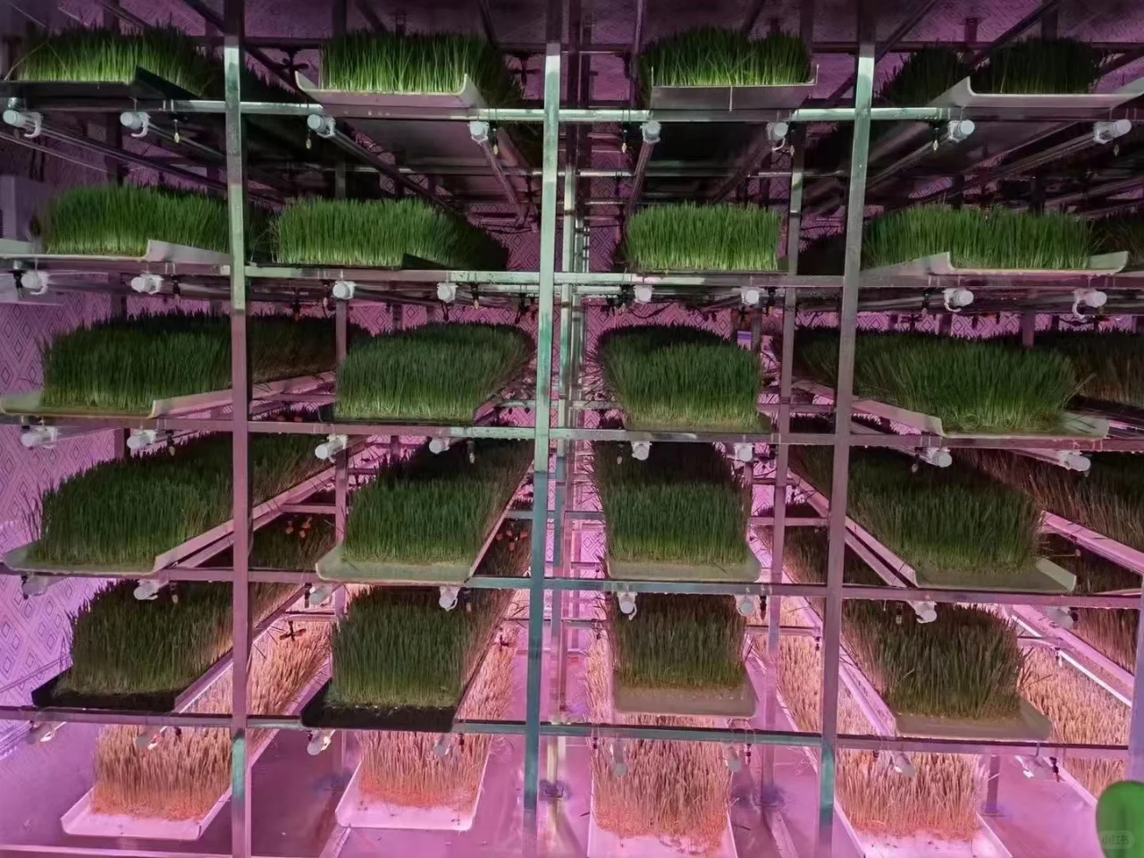 智慧农业建设方案