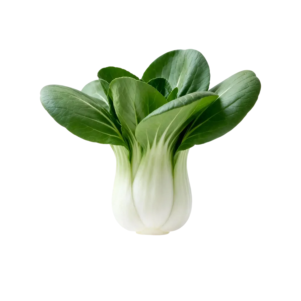 青菜图标，平常你经常吃的是哪一款呢？