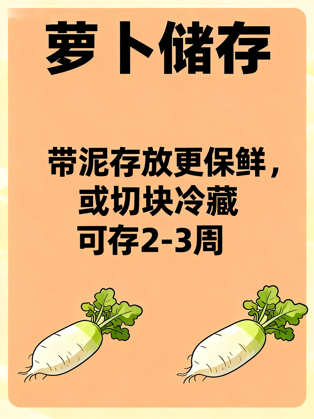 北方冬季应季蔬菜全攻略丨配套储存大法