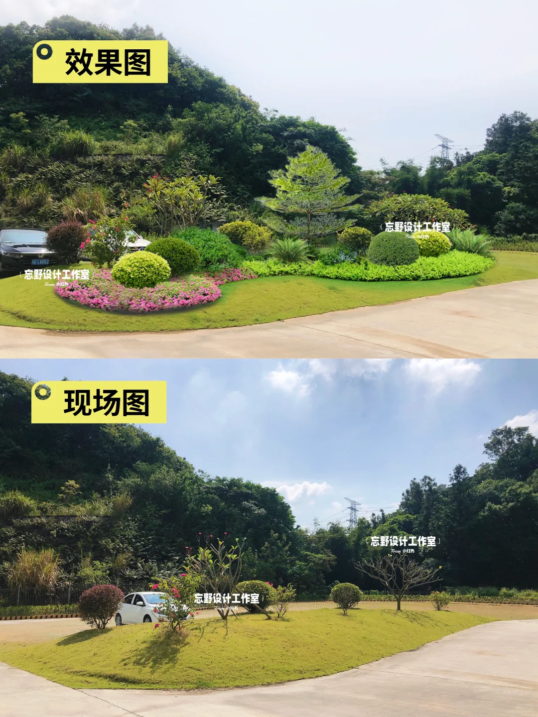 常绿低维护植物组团设计