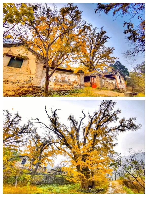 11.8[周六]【京门铁路-广化寺-琉璃渠】户外