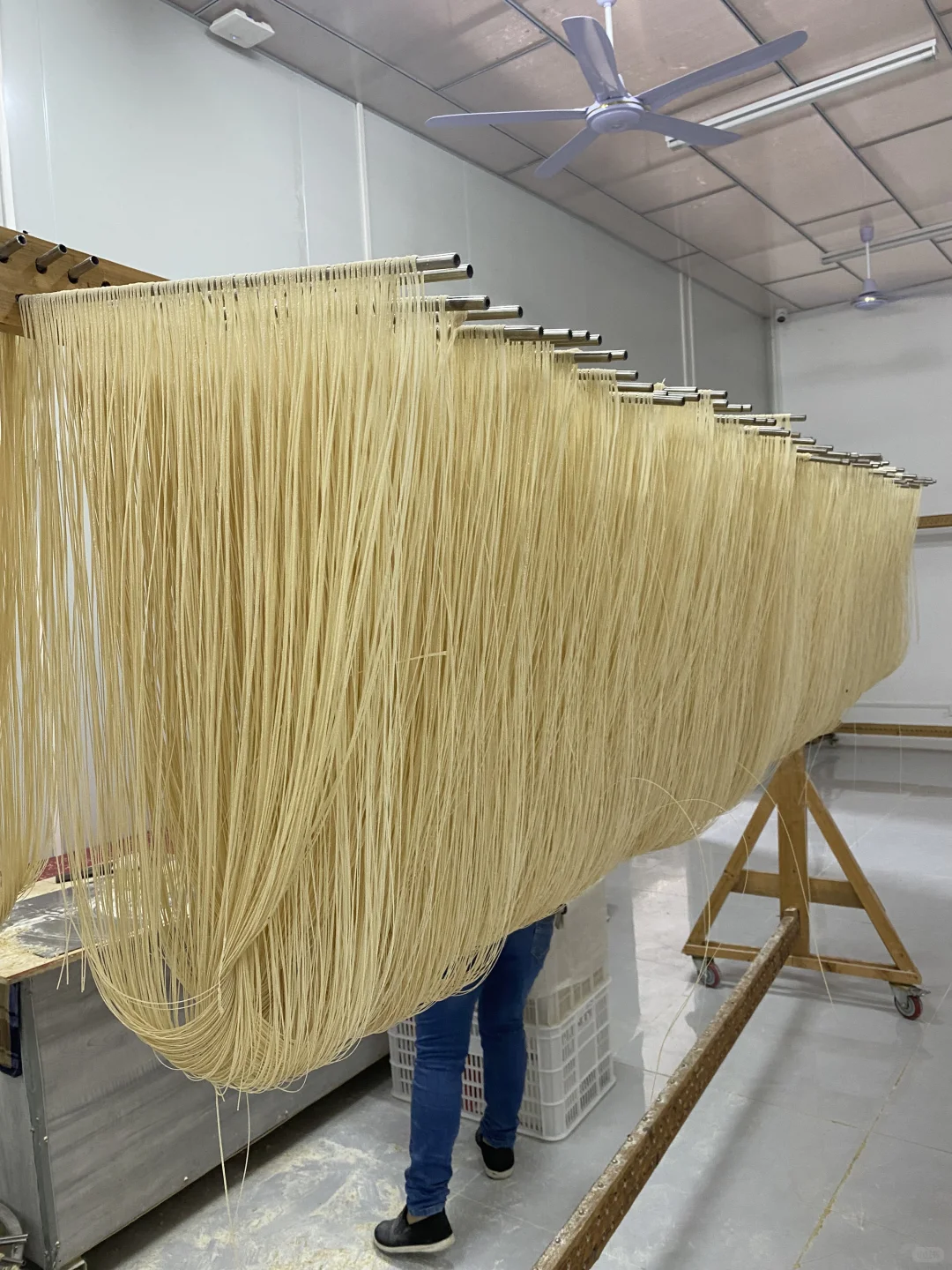 超级干净的挂面工厂！???