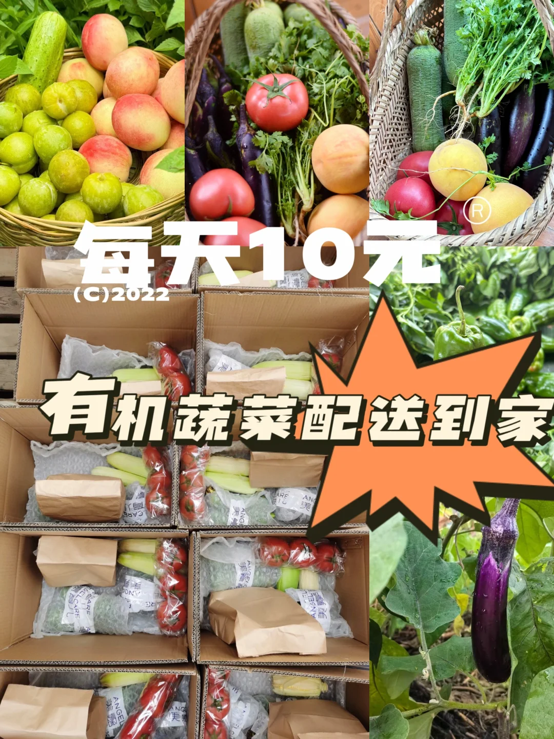 每天10元｜有机蔬菜免费配送到家，还送土鸡蛋