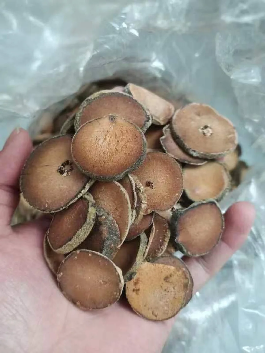 记录乡村乡事，乡村生活点滴，乡村农副产品、绿色生态原产品，助力乡村振兴，帮扶村民