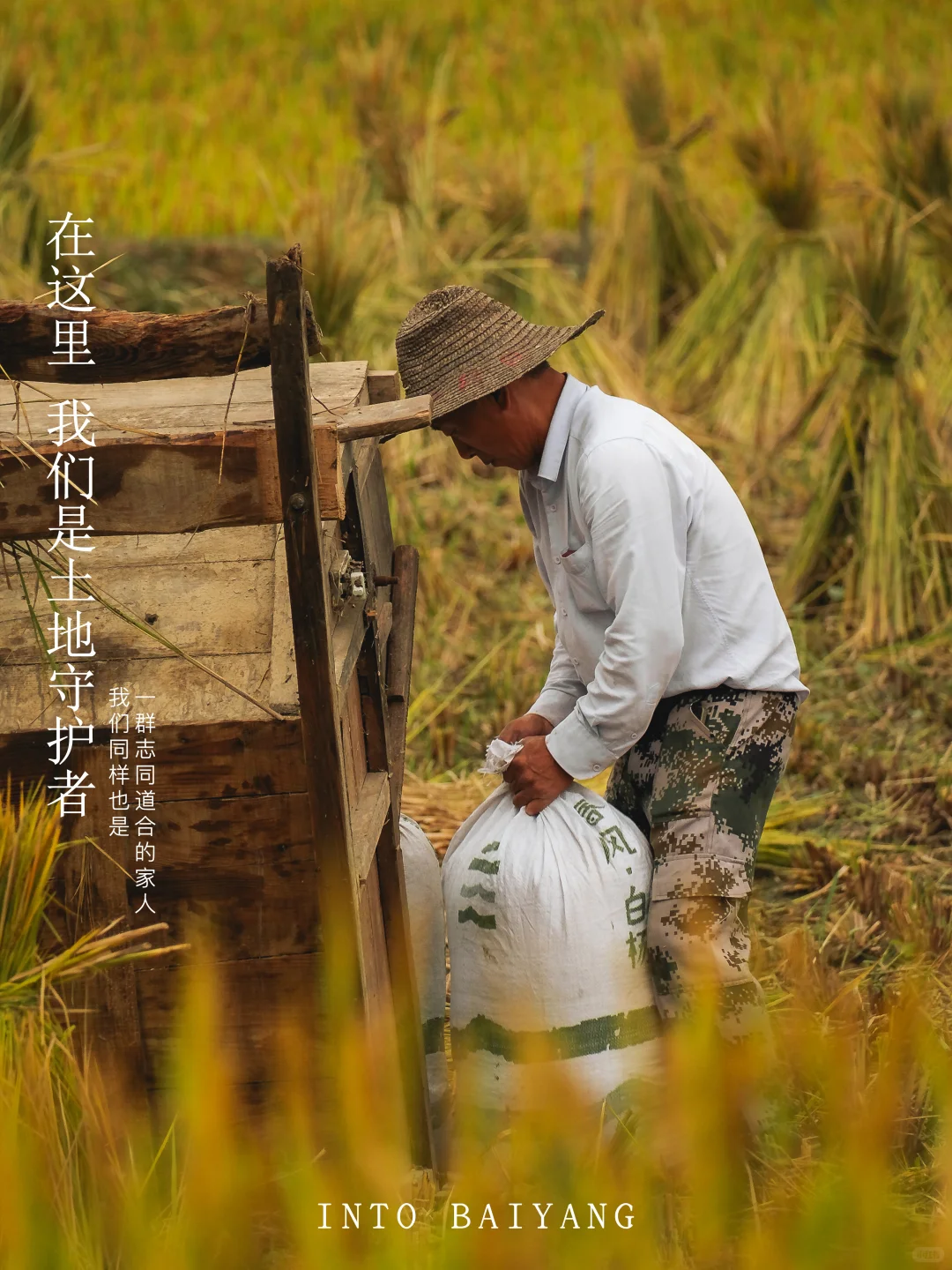 新农人招募令 | 1000亩农田净土在等你