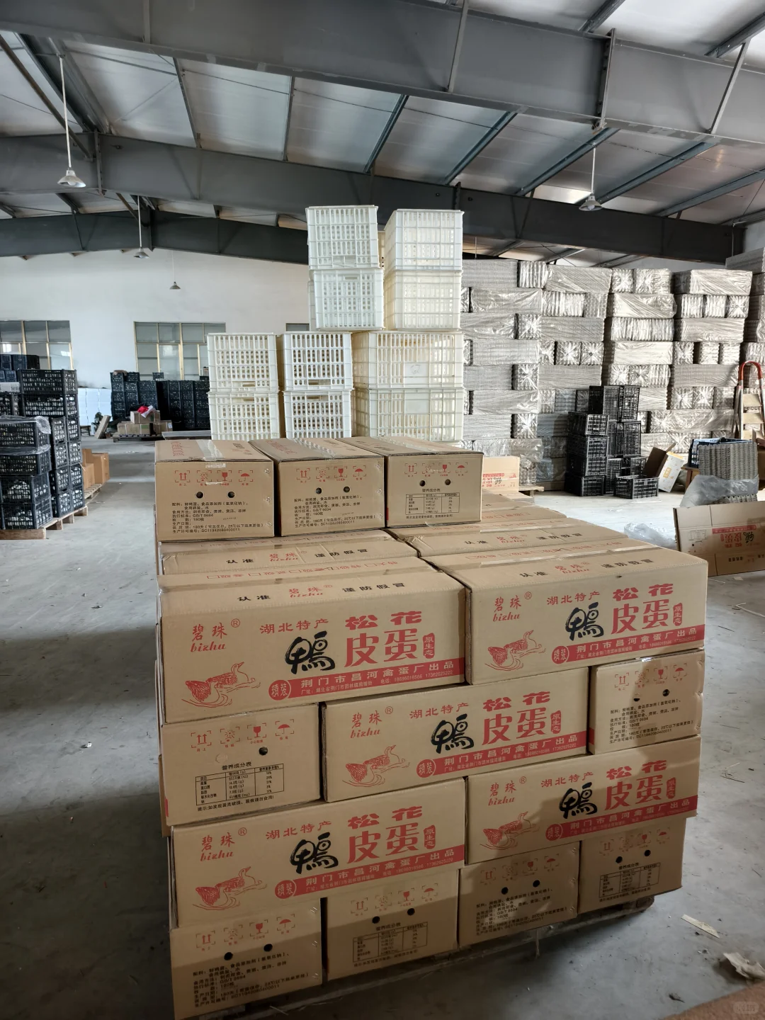 探访团林大型禽蛋工厂——碧珠牌禽蛋