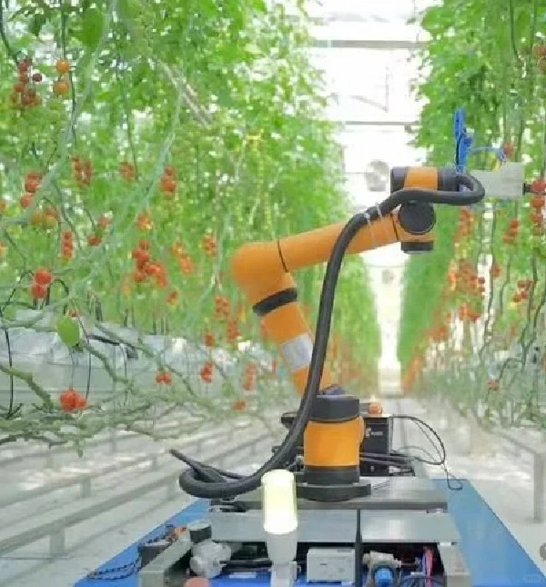 理论知识:智能化是设施农业种植的未来?