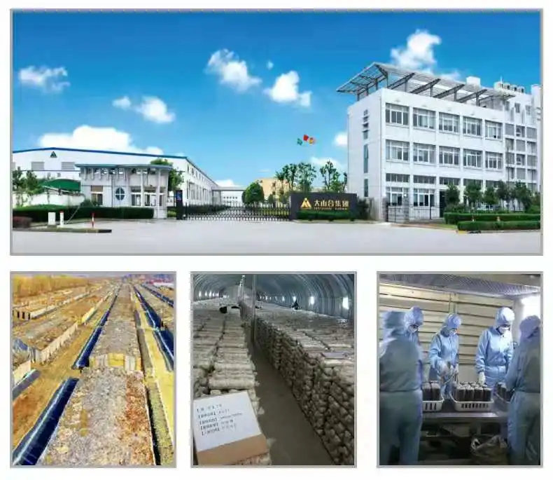 找到出口调味料、酱料、干货的厂家‼️