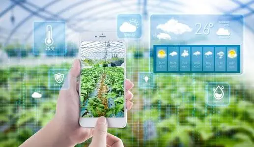 云上认养—传统农业与智慧农业的区别在哪里