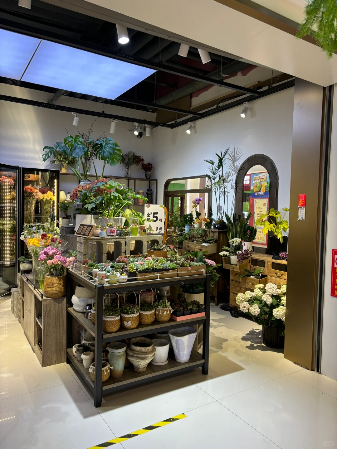 藏着闹市区的植物花园(天一城超市入口)