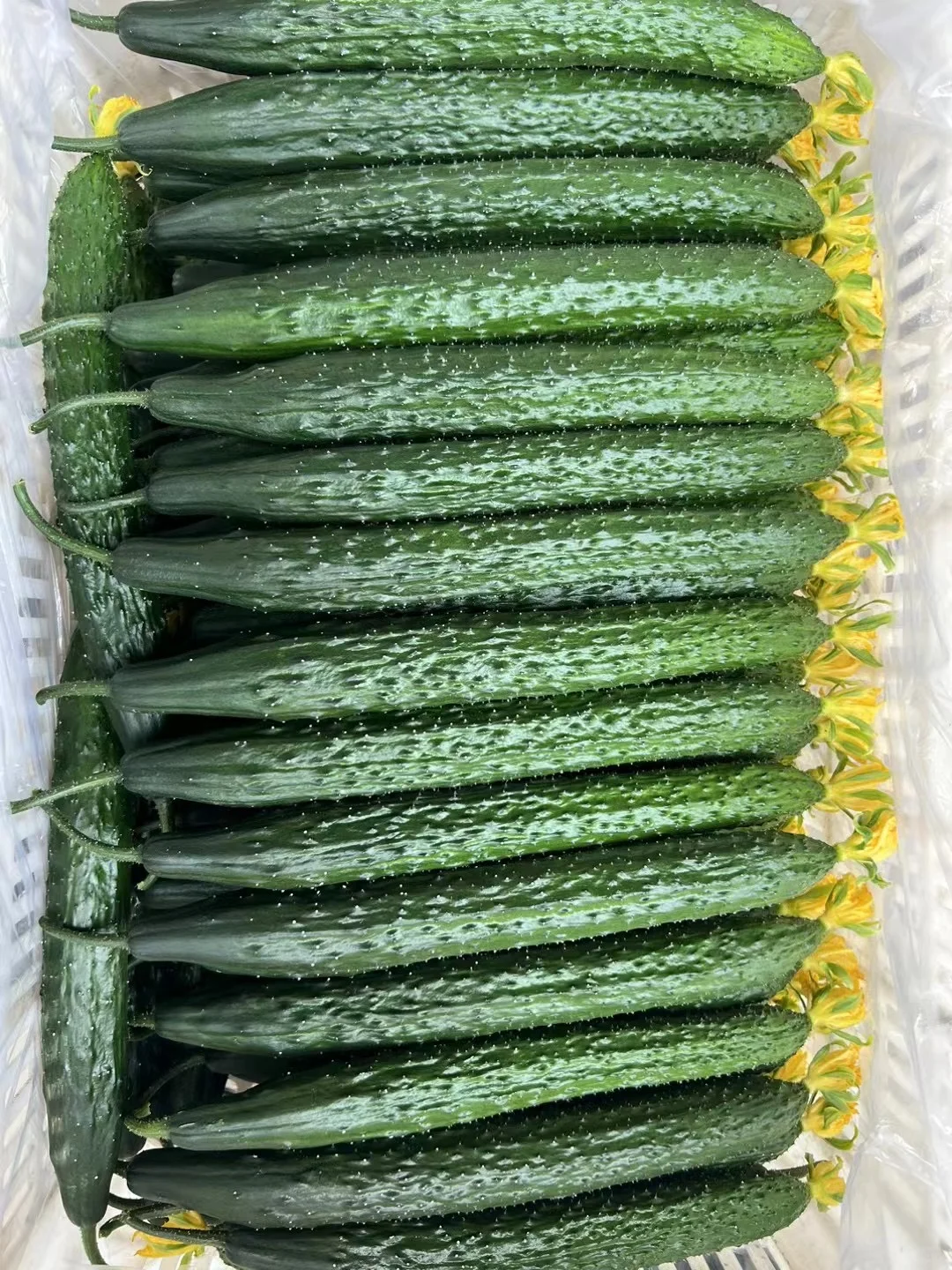 饭店老板的救星⭐蔬菜批发商的日常