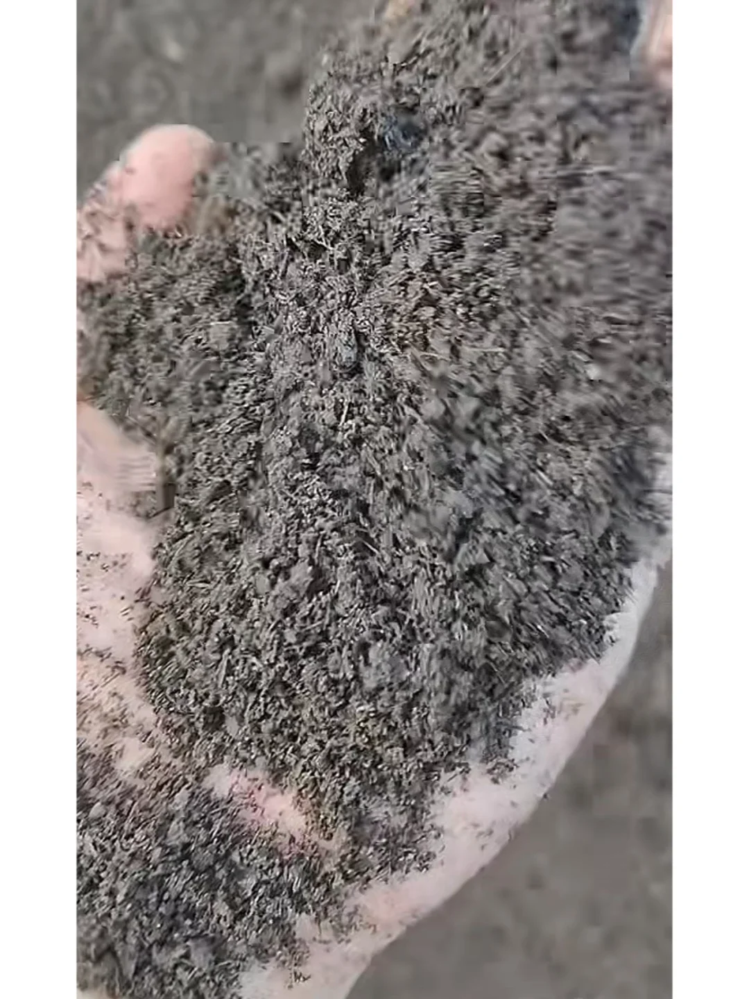 有机肥替代化肥：农业可持续发展的必由之路