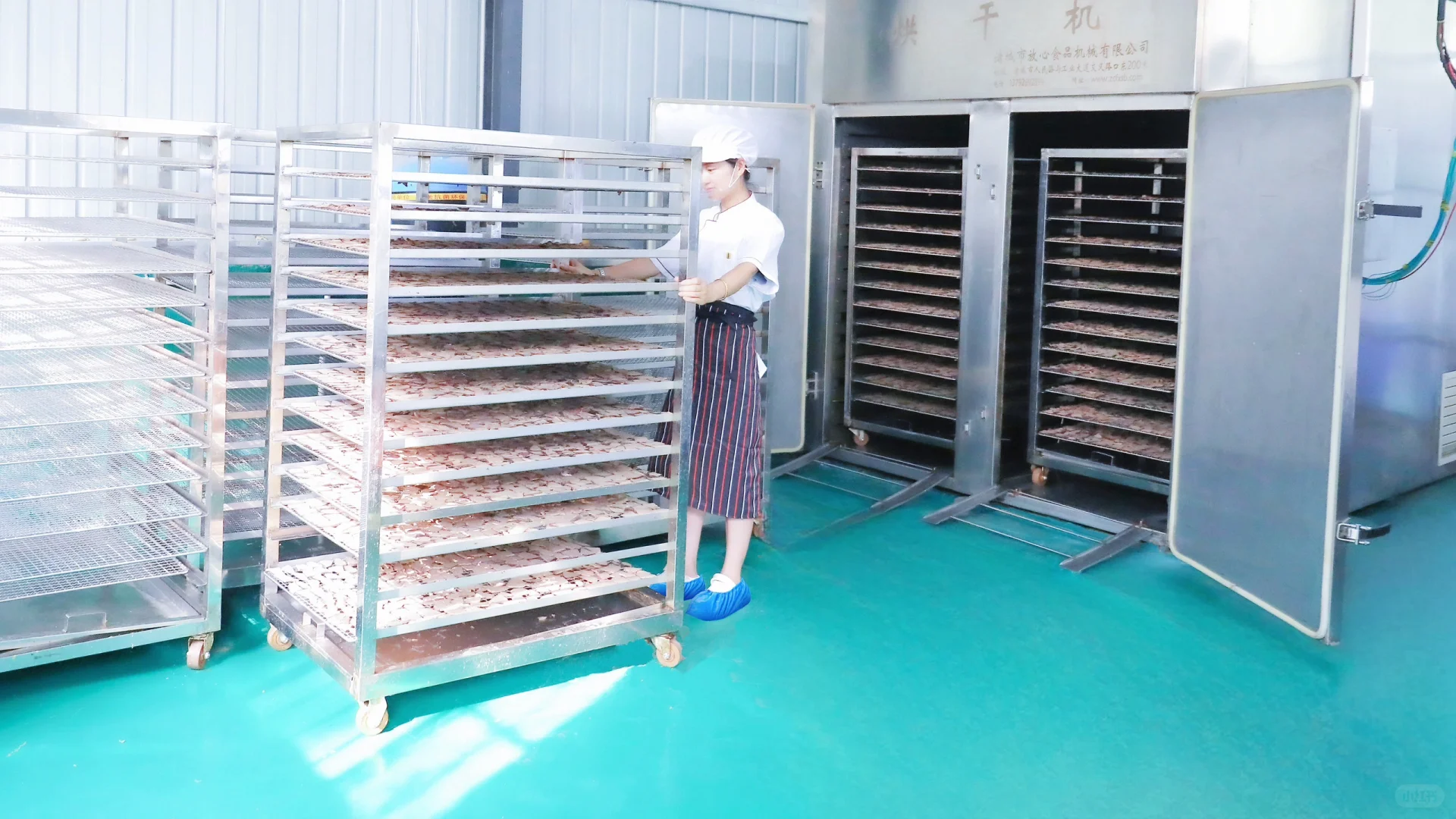 开宠物食品厂的牛马老板，也想躺平不工作啊