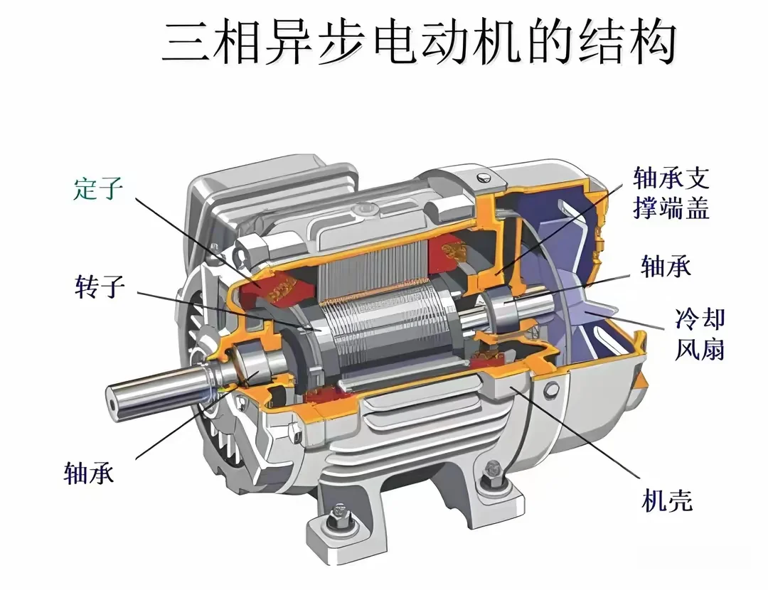 谁懂啊，电机这么拼！??