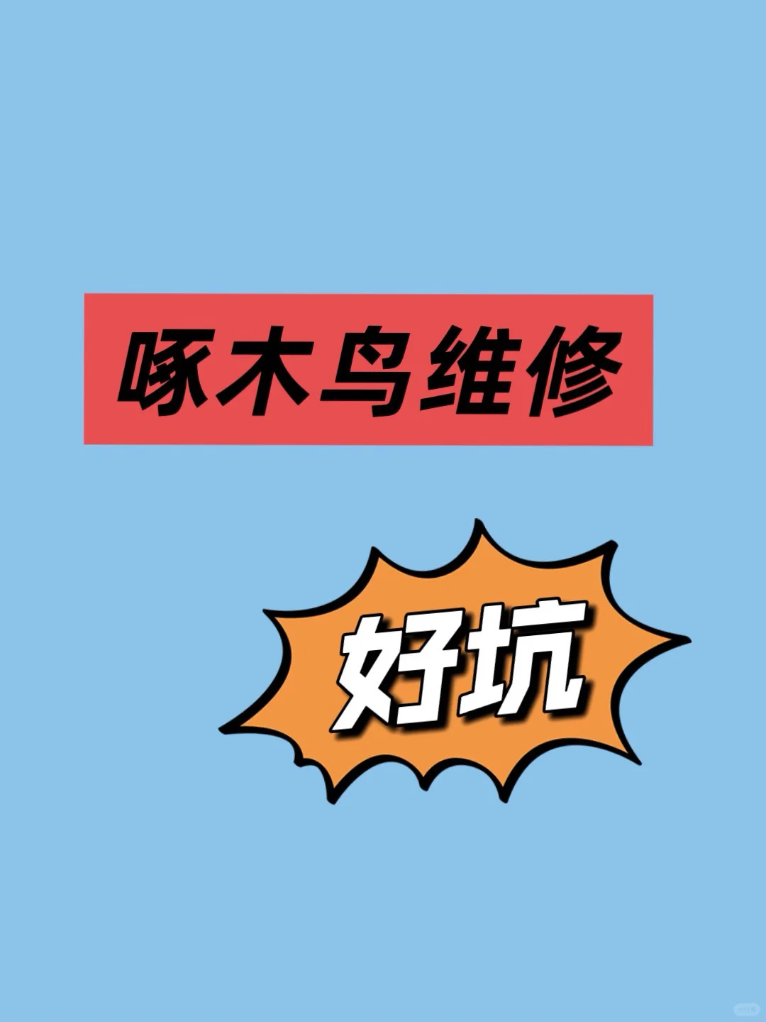 啄木鸟维修好坑❗️避雷