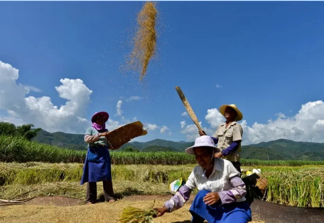 一颗认养——传统农业与智慧农业的对比！