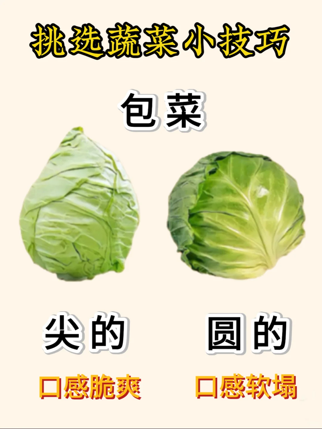 蔬菜挑选小技巧get～