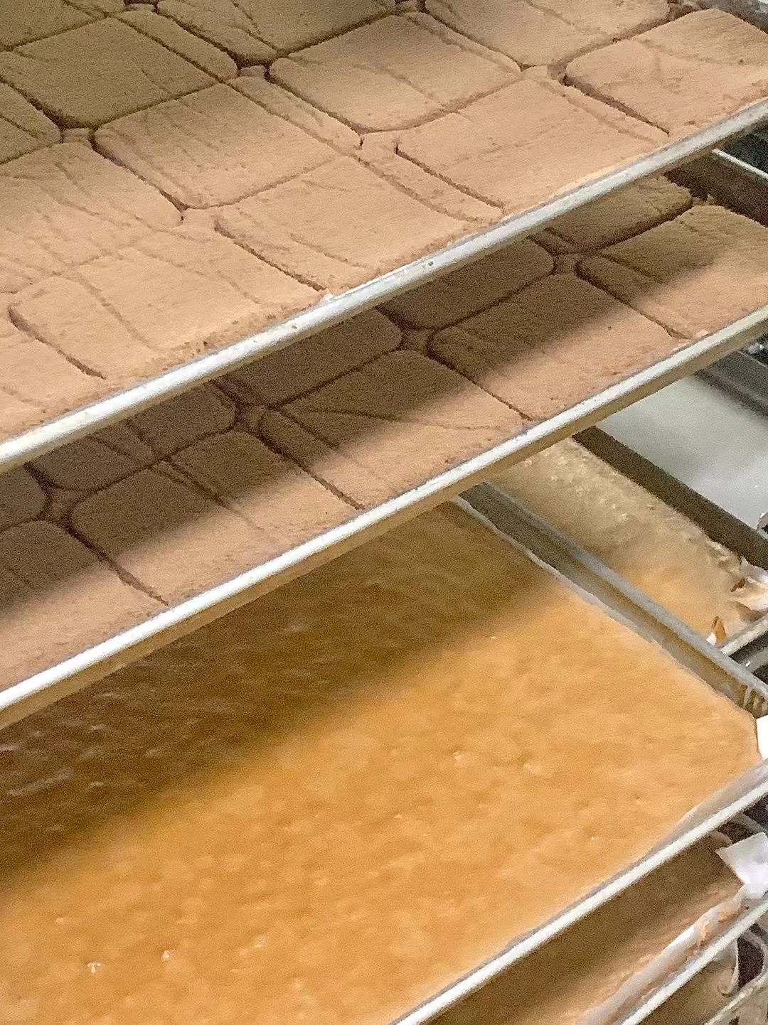 BEAR厂区•卫生篇?