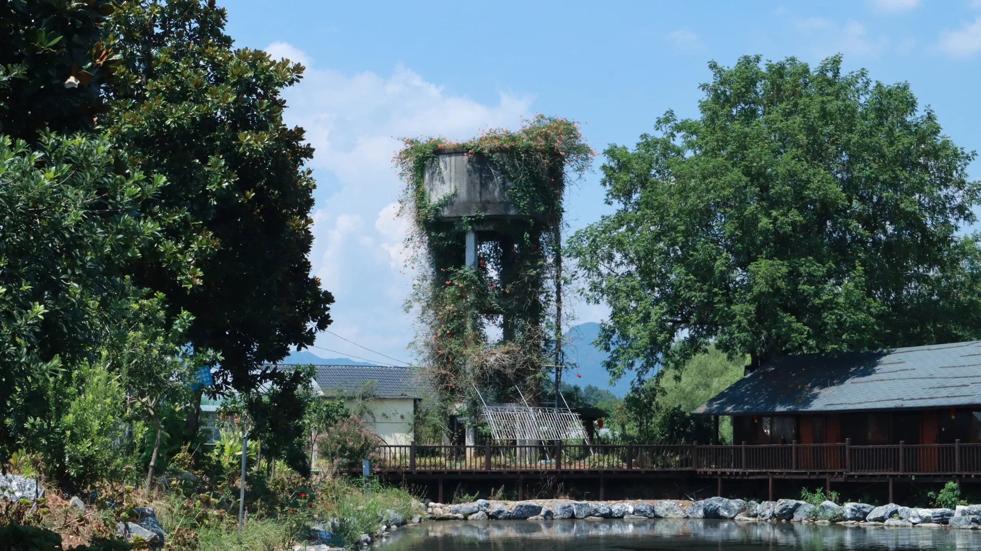 从甬江到衢江:一场跨越浙东浙西的智慧农业