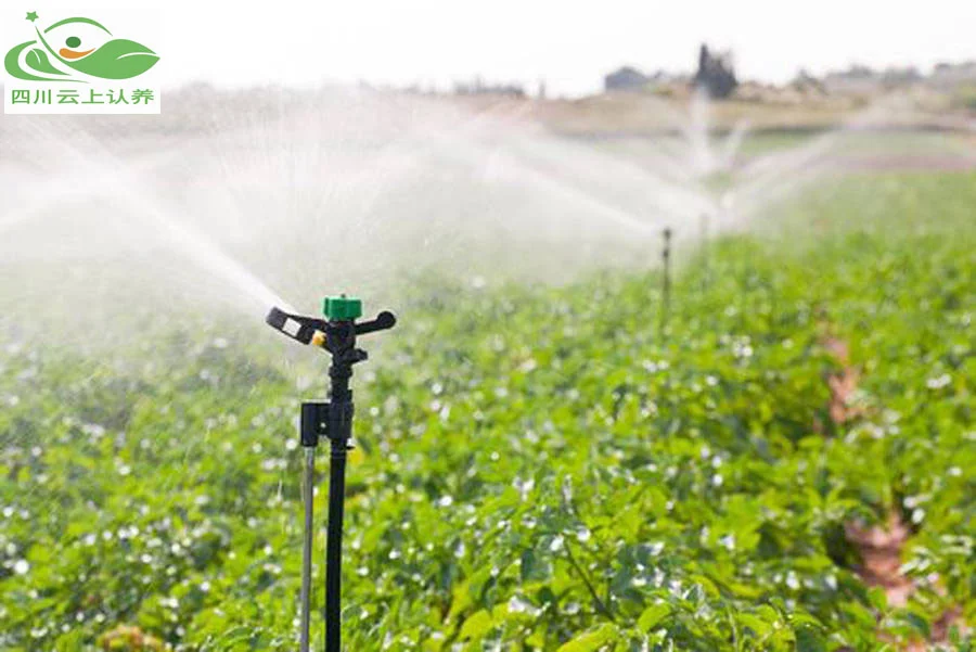 春耕新貌：从传统耕作到智慧农业的转型！