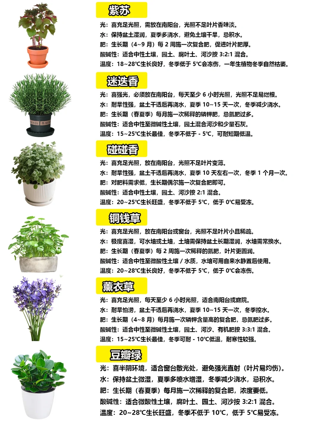 108种绿植花卉养护手册大全